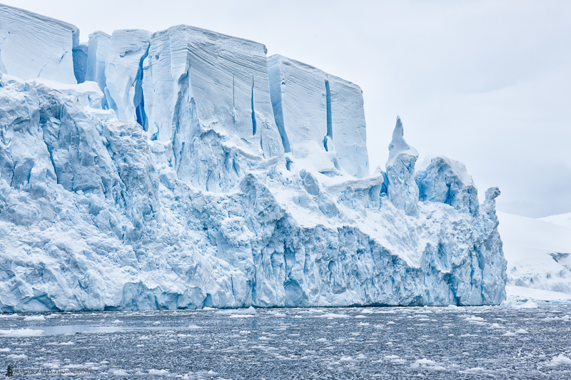 Illustration for article titled Antarctic ice looks so tempting as summer temperatures soar